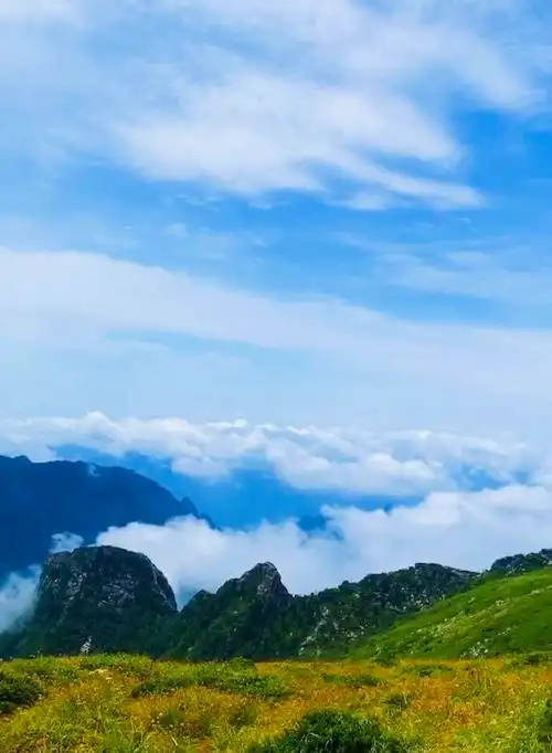 秦岭游记·高山草甸