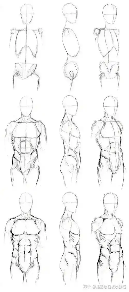成都清彩画影动漫的肌肉怎么画初学者教程人体肌肉的正确画法教程