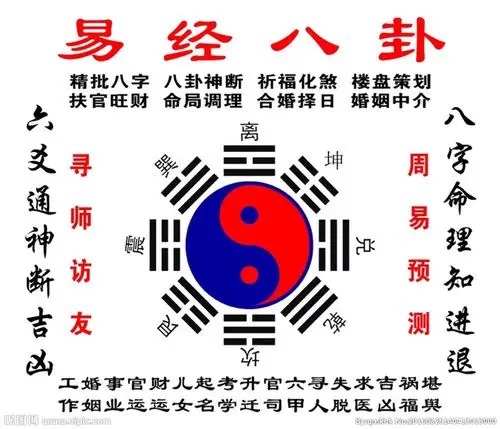 周易专业网络预测