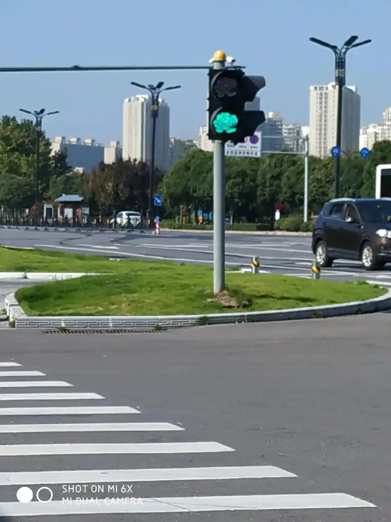 红绿灯都是牡丹花图案的美丽城市 - 抖音