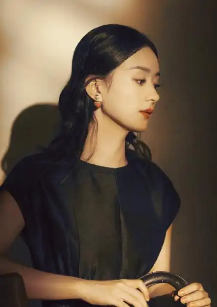 知情人士透露,赵曾与央视春晚合作,春晚被冯屏蔽,并