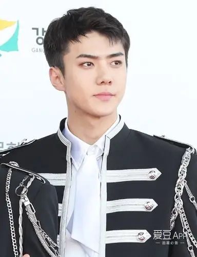 [exo][新闻]170603 exo制服亮相梦想演唱会红毯秀 世勋,伯贤造型细节