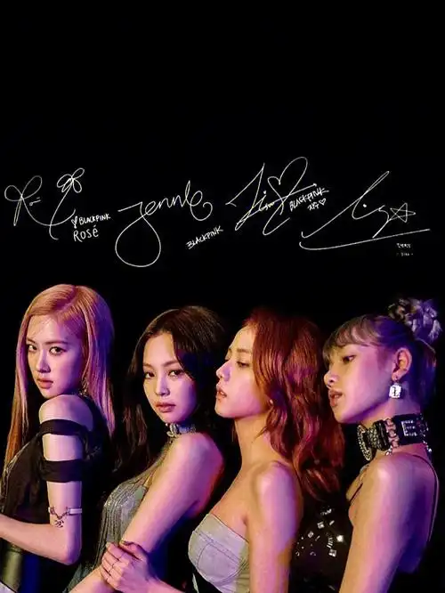 由金智秀(jisoo),金智妮(jennie),朴彩英(ros07),lisa4名成员组成