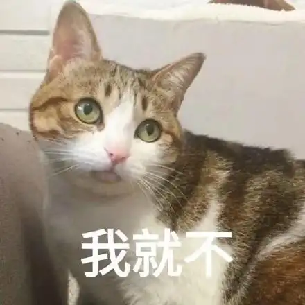 可爱滴小猫咪表情包 - 可爱滴小猫咪微信表情包 - 可爱滴小猫咪qq表情