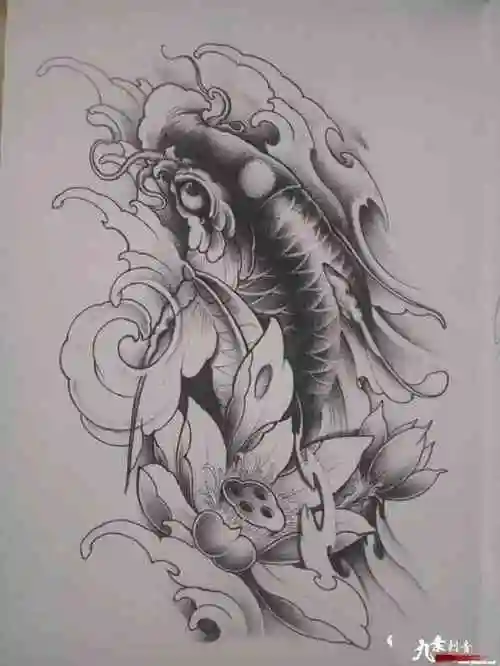 传统鲤鱼纹身手稿
