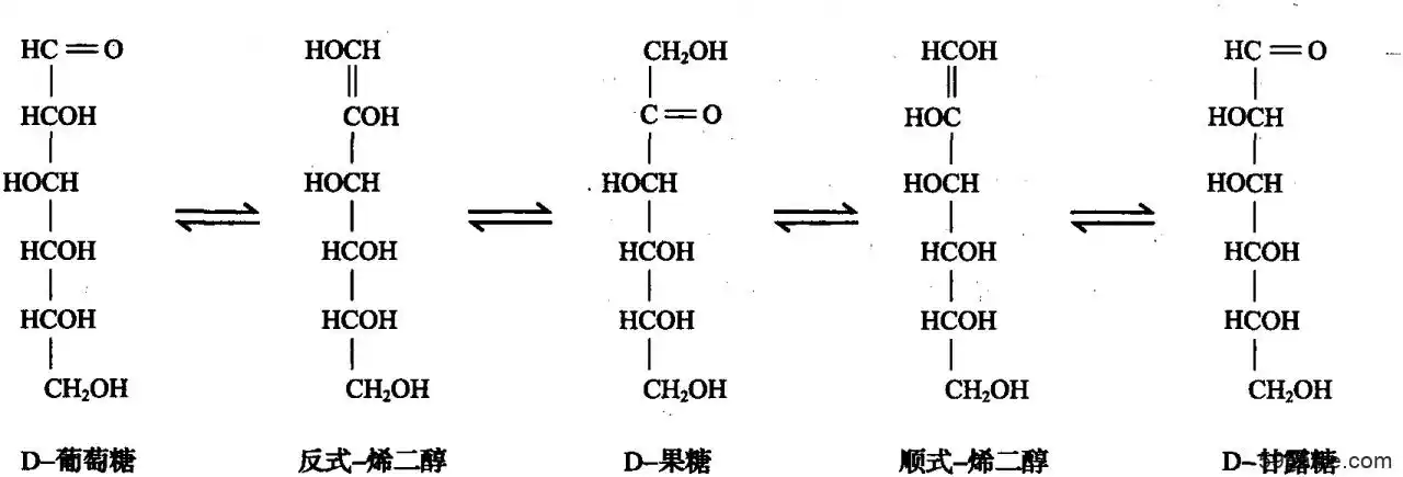 图3.5 d-葡萄糖,d-甘露糖和d-果糖异构化的相互关系