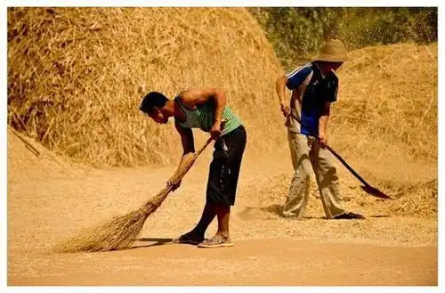 90后的童年:小时候的农村生活,满满都是回忆,这样的日子好怀念