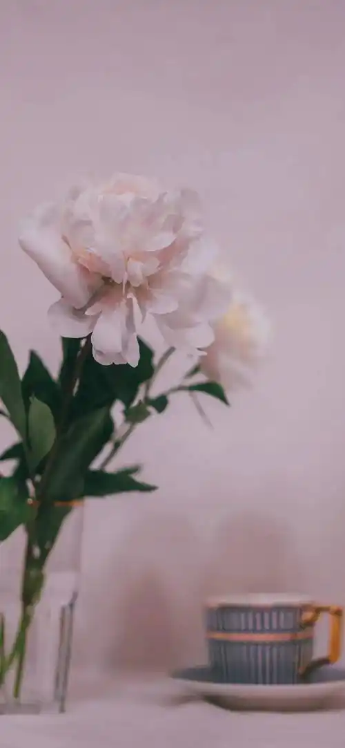 高级氛围感壁纸小众高级感壁纸全屏很高级感的壁纸高清网红ins