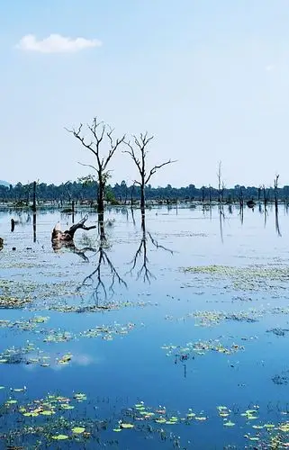 柬埔寨蟠蛇水池