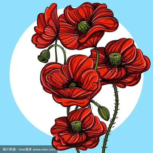 手绘的红色罂粟.花的设计元素.矢量插图海报,横幅,贺卡和其他项目.