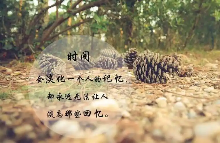 说说伤感到心痛的句子形容心情很低落的句子