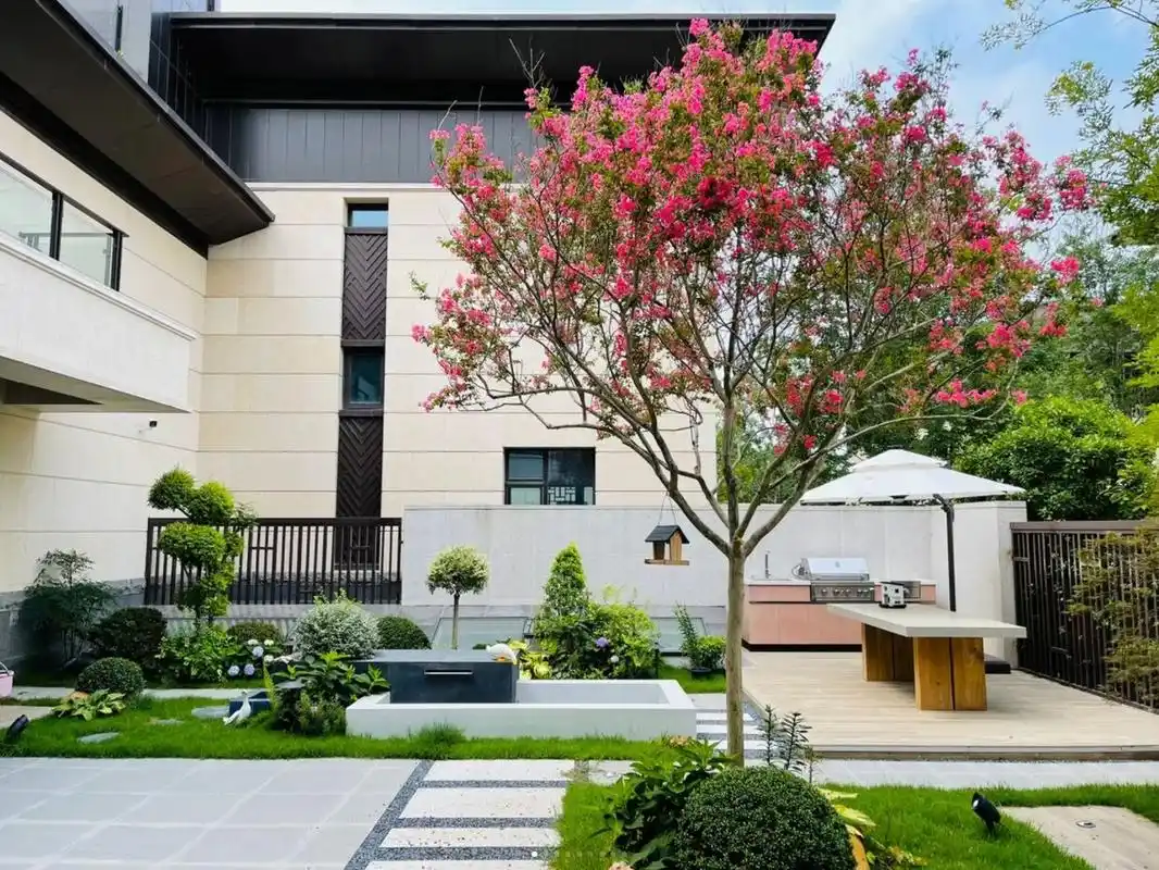 适合北方庭院种植的景观树 11566腊梅树的观赏价值很高,开花后有