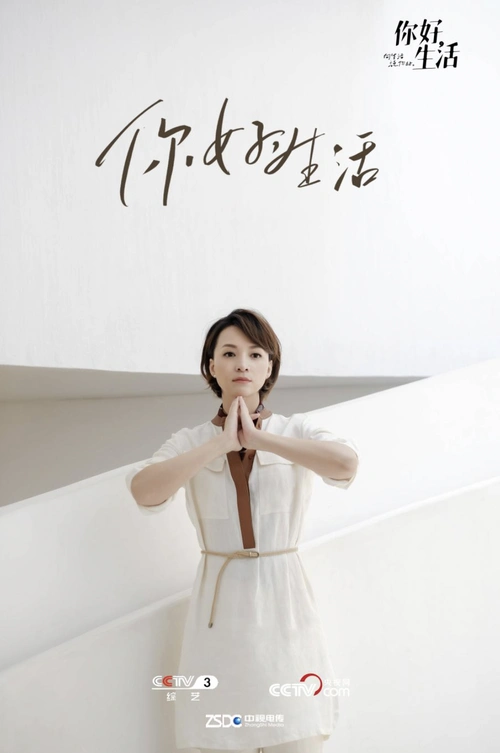 你好生活特别节目暖心播出董卿畅谈生活中的人之美