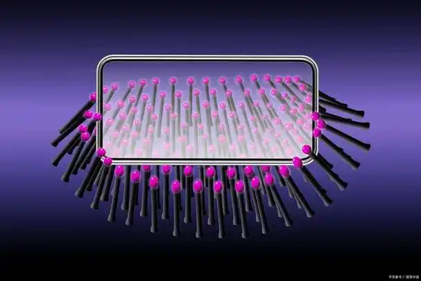 在众多封装技术中,引线键合工艺是一项至关重要的工艺,负责连接芯片与