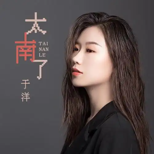 歌曲《太南了》是歌手 于洋 演唱
歌曲用欢快与