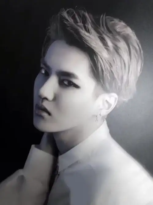 exo成员单人图片,必须是高清大图壁纸,12人的都要有,满意提高悬赏