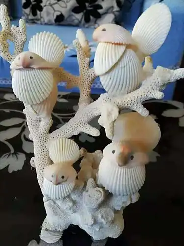 李洪海——贝壳作品