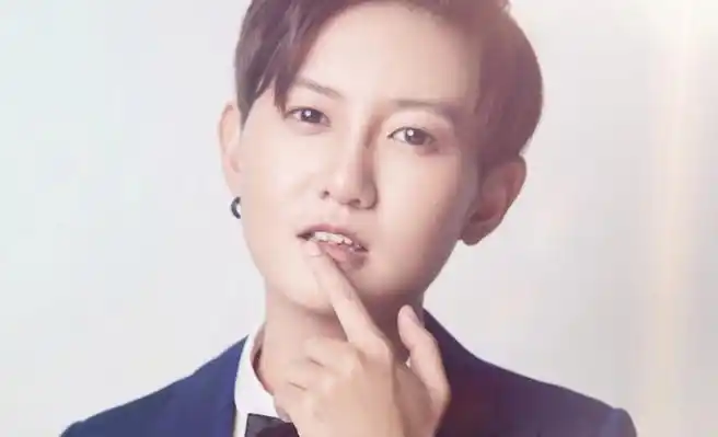 快女段林希的凄惨现状 揭其不红内幕出柜对象被传是付梦妮