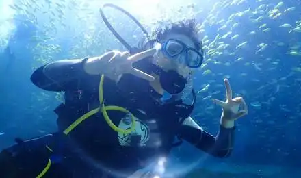 三亚海棠湾潜水考证·padi潜水员课程ow 或aow潜水培训(海洋馆 定点