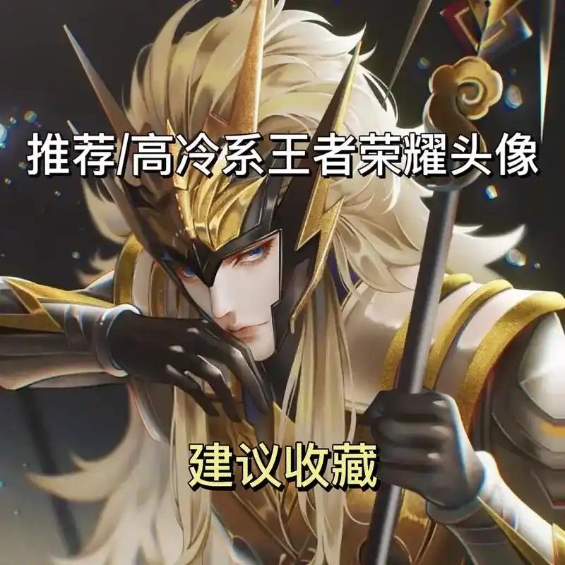 高冷系王者荣耀头像.#王者 #王者头像 #优质头像 #动漫头 - 抖音