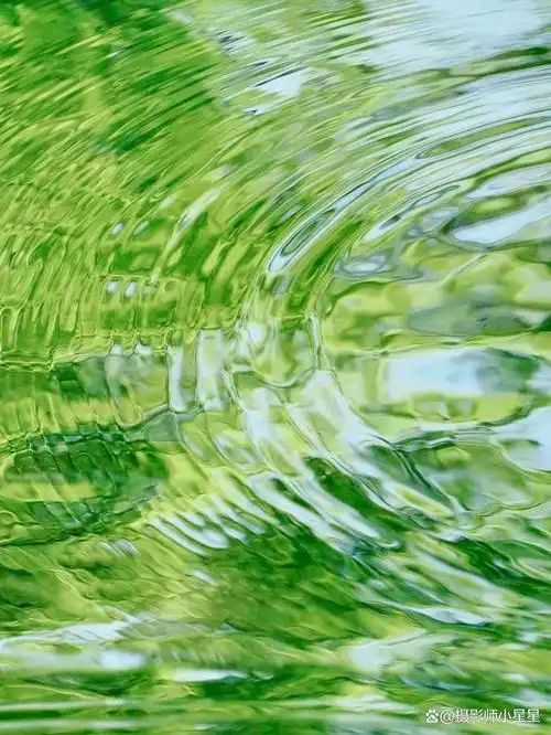 夏天拍这6种绿色,太养眼了!