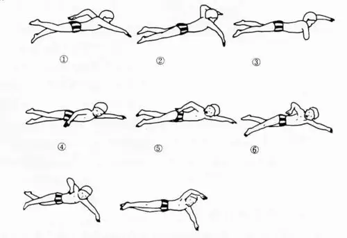 让游泳初学者最惬意的自由式