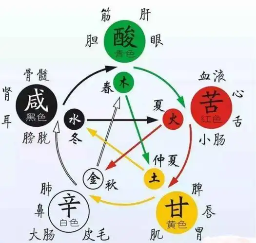 中华医术博精深 切诊望闻问 人为宇宙精 金木水火土阳阴 相生相克行