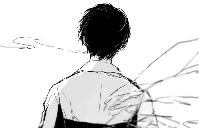 展开全部 我只能说这些的风格还是挺相近的,这样的素描背影不是很好