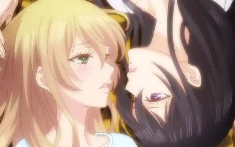 citrus柑橘味香气大橘已定