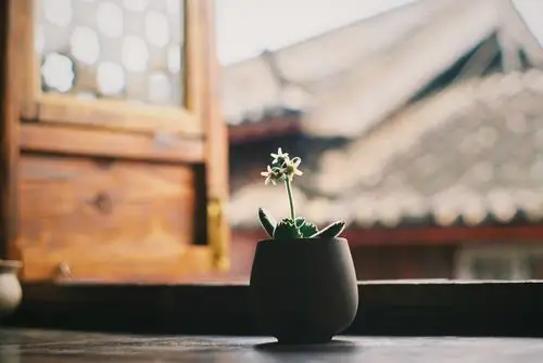 丽江安静的午后