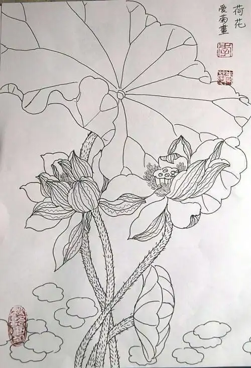 李爱菊画白描荷花