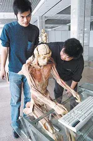 人体奥秘科普巡回展 看"干尸展"能戒烟戒酒?(组图)