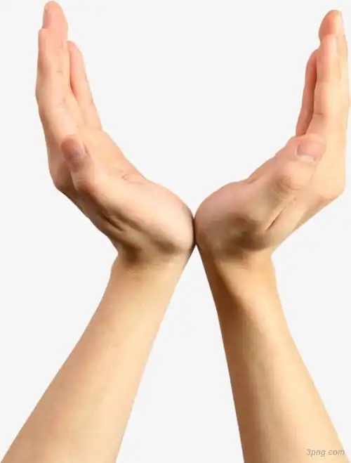双手png素材透明免抠图片-其他元素