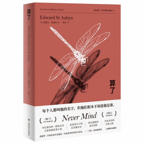 算了( 帕特里克·梅尔罗斯五部曲)