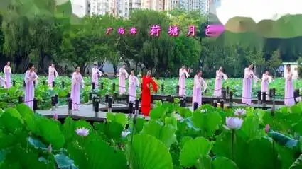荷塘月色 广场舞 曾惠林舞蹈队 深圳洪湖公园