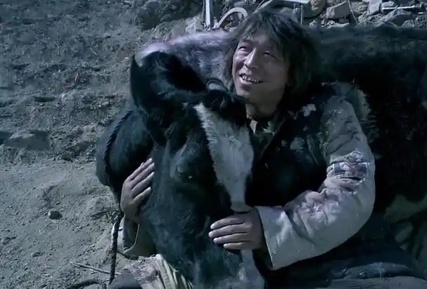 《斗牛》电影解说 一人一牛讨生活,黄渤展现影帝级的表演 爆赞