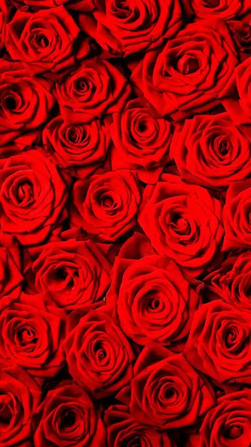 1080x1920 (iphone 8/7/6/6s plus)