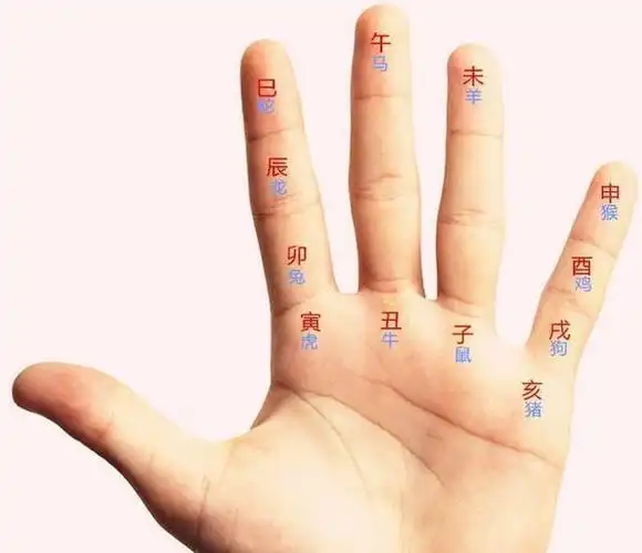 掐指一算神机妙法