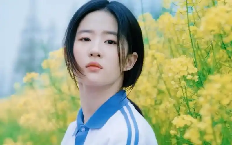 刘亦菲的学生装,校花也不过如此吧