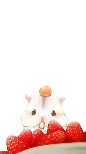 仓鼠 壁纸动漫可爱抱图请点赞~(≥▽≤)