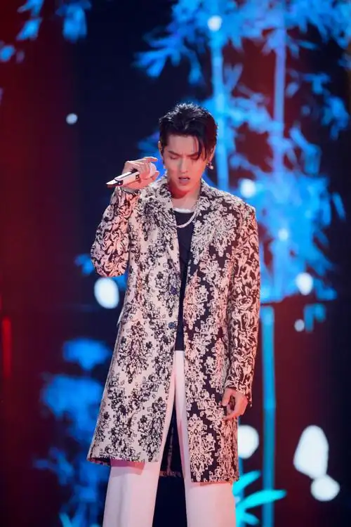 > 吴亦凡湖南卫视跨年晚会图片(13/18)