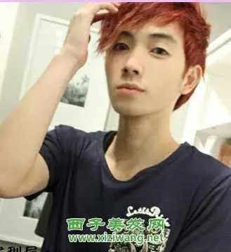 男生在线发型设计非主流男发型男生麦穗烫头发造型:将男生短发发型