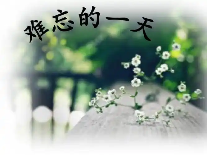 人教版小学二年级语文上册第8课《难忘的一天》ppt