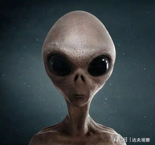 在外星人将纳米芯片插入他的手臂后,美国男子确信曾被ufo绑架?|ufo_网