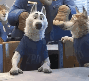 今年最值得买的几大平价联名品牌,错过了你就后悔去吧!