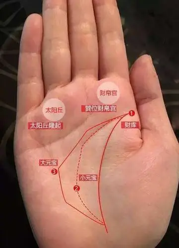 掌纹三线深长天佑之相享齐人之福长寿又健康