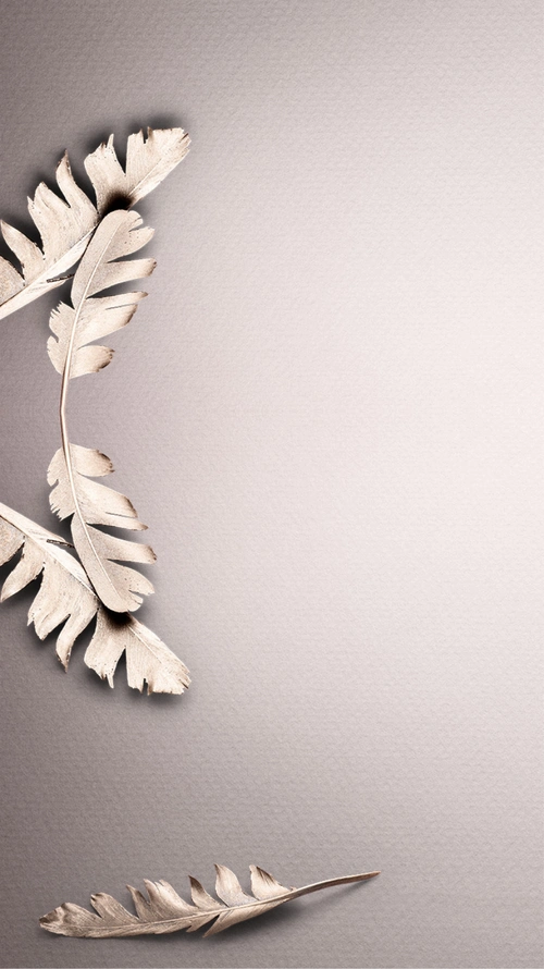 质感简约奢侈品h5背景