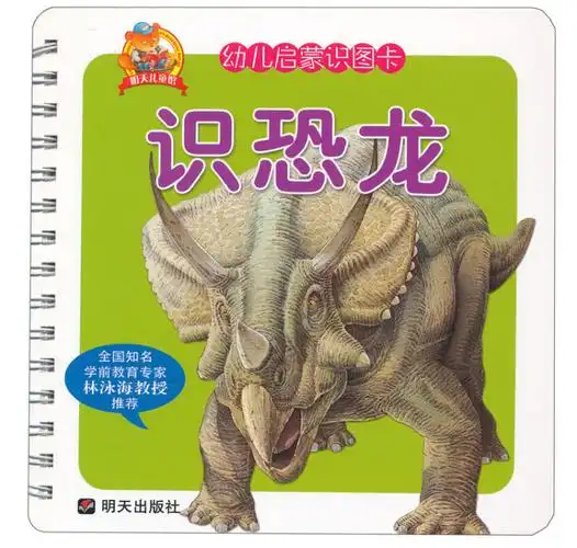 幼儿启蒙识图卡:识恐龙