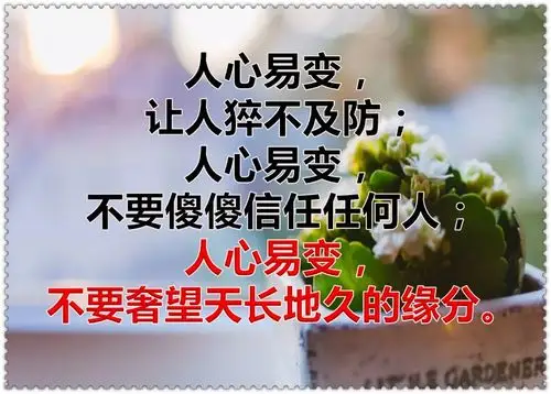 事,看透了失望;人,看透了心寒!一曲《累了痛了就放手》10人听9人泪!