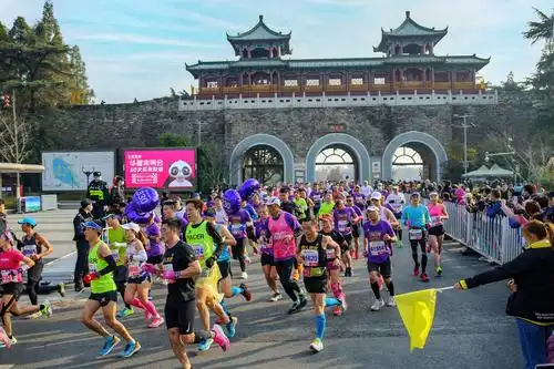 2020年南京马拉松比赛